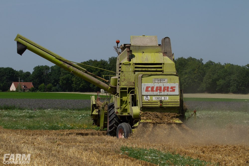 Claas Mercator 75-0956.jpg