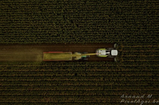 batch_DJI_0023co.jpg