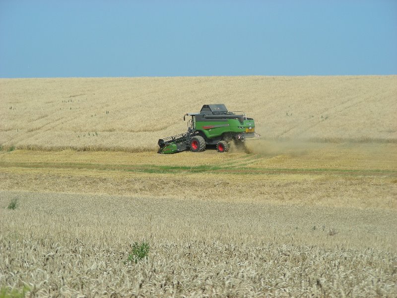 Fendt 6335 (2).JPG