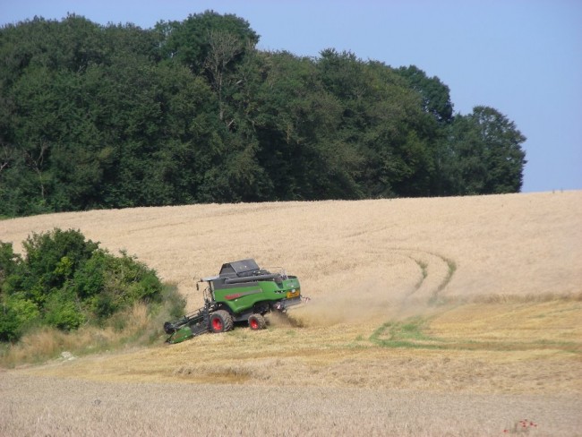 Fendt 6335 (3).JPG