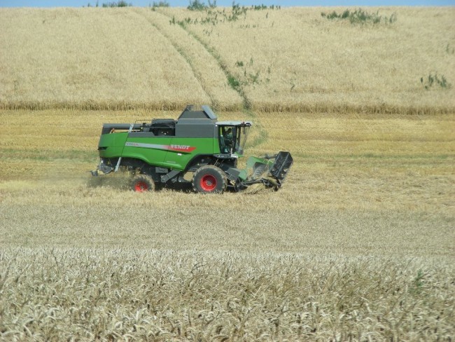 Fendt 6335 (4).JPG