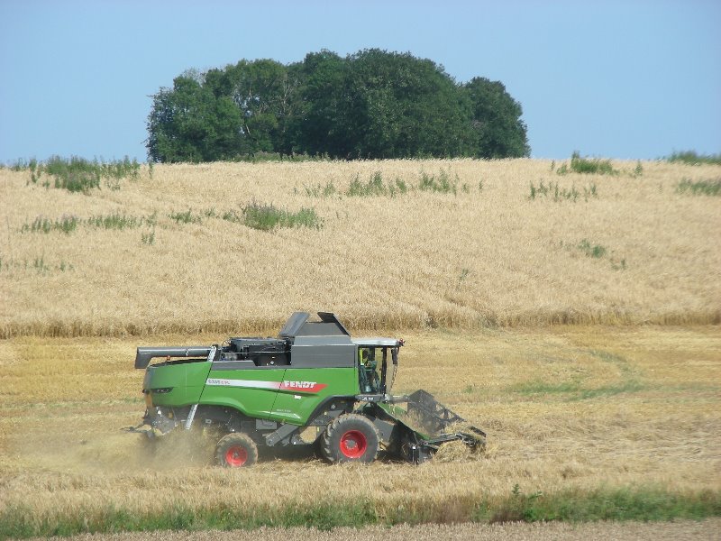 Fendt 6335 (5).JPG