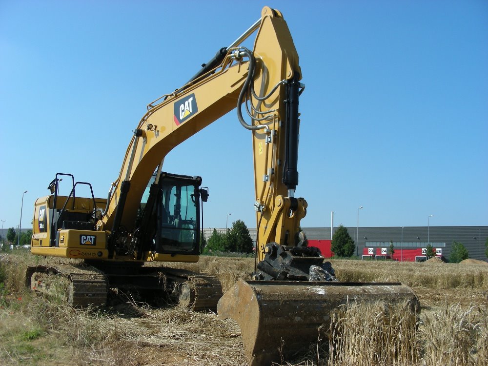 Cat 320 (3).JPG