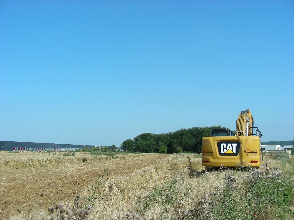 Cat 320 (4).JPG