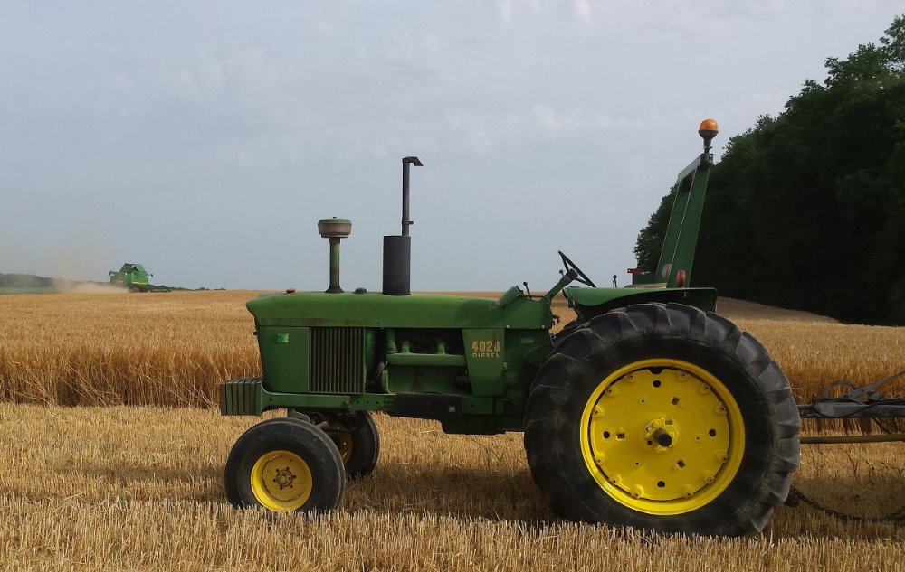 4020.JPG