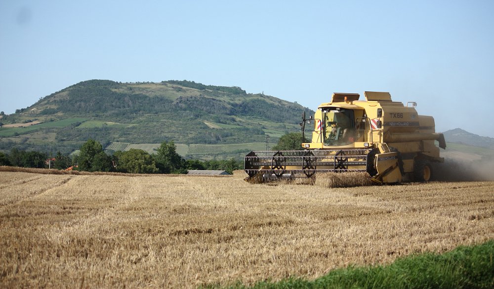 Moisson2021 029.JPG