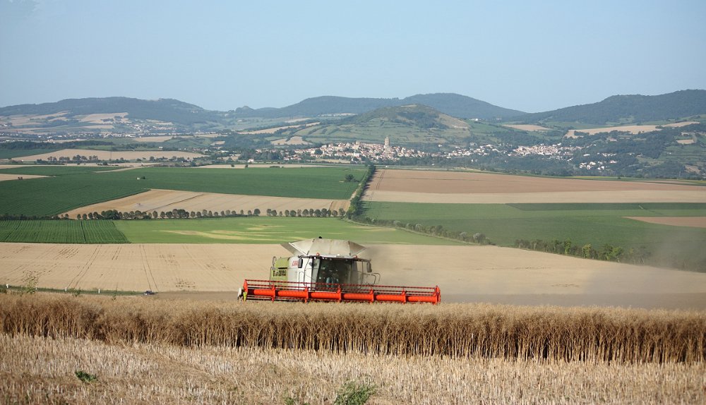 Moisson2021 042.JPG