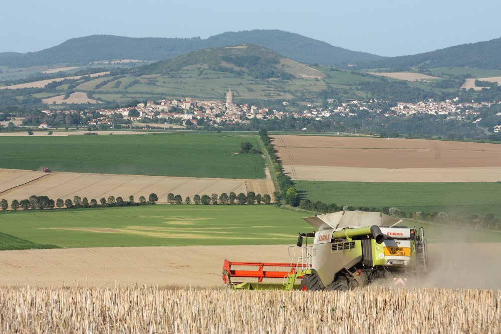 Moisson2021 048.JPG