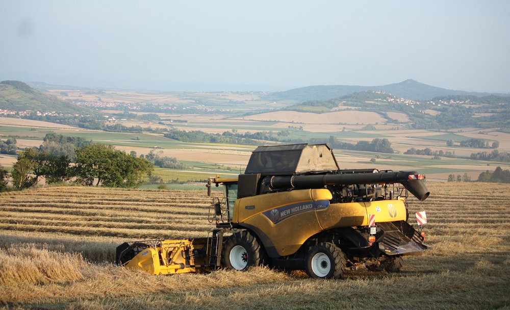 Moisson2021 120.JPG