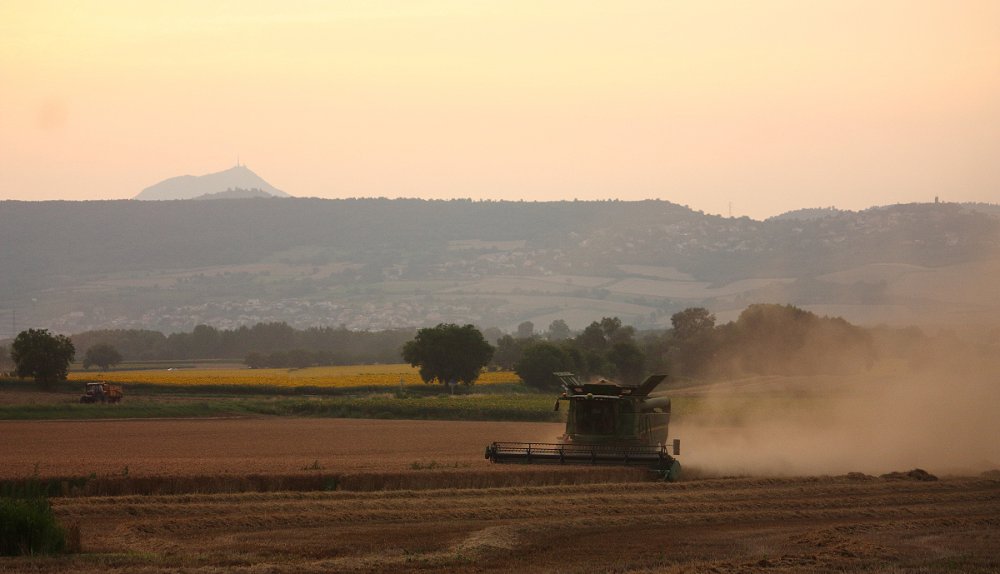 Moisson2021 164.JPG