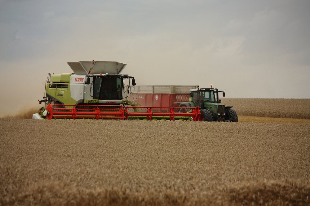 Moisson2021 296.JPG