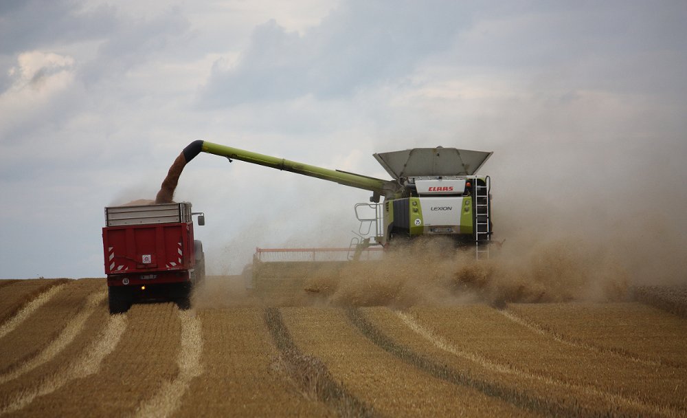 Moisson2021 308.JPG