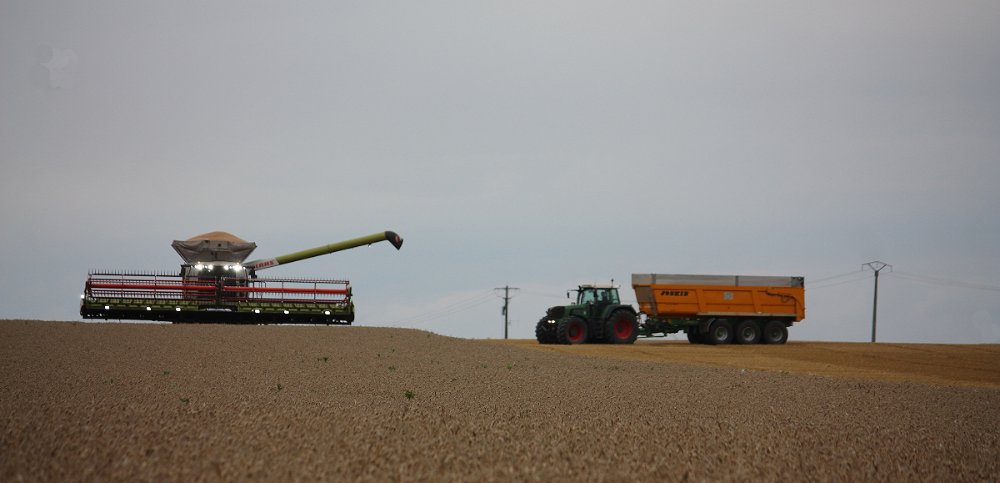 Moisson2021 361.JPG