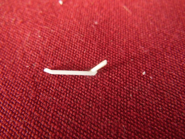 DSCN4569.JPG