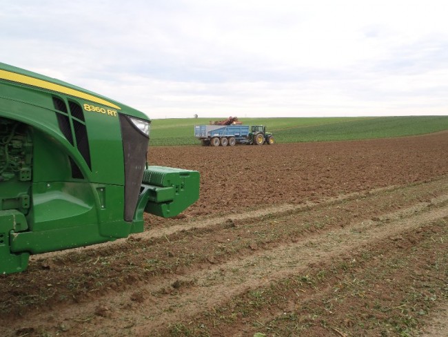 PA260990.JPG