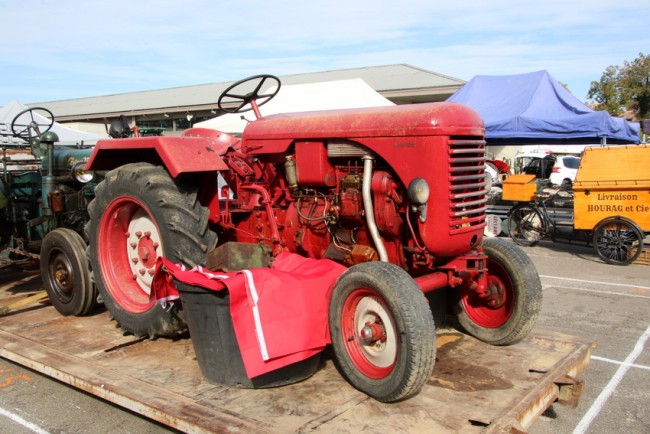 RB0A6003.JPG