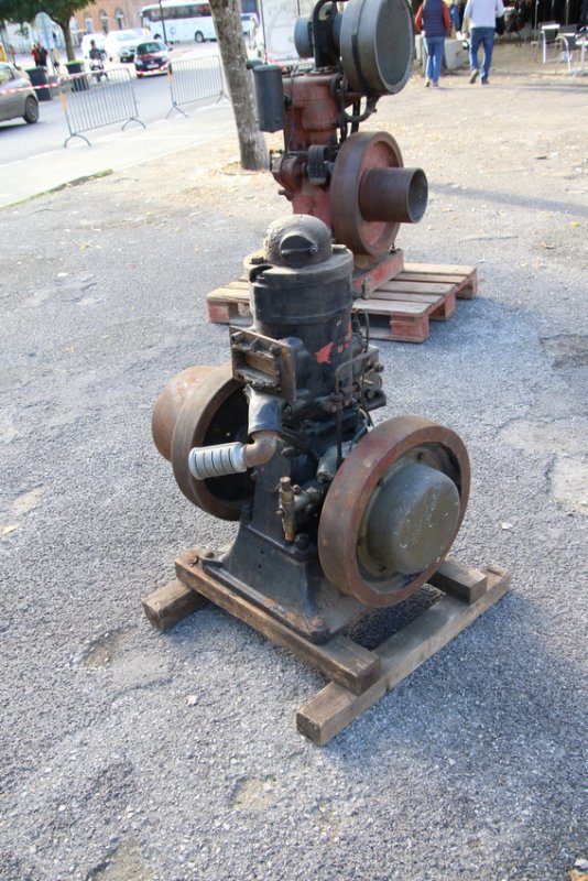 RB0A6081.JPG