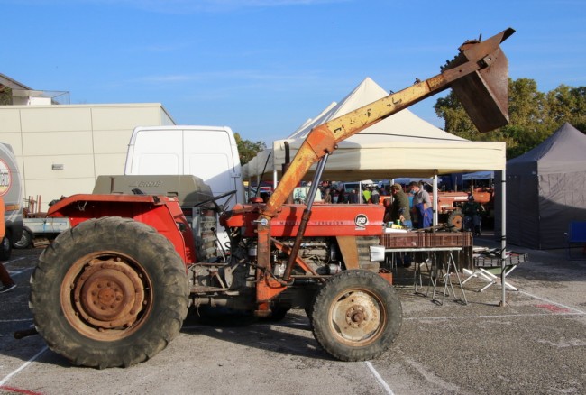 RB0A6090.JPG