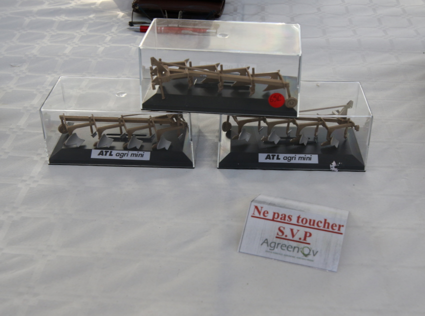 RB0A9617.JPG