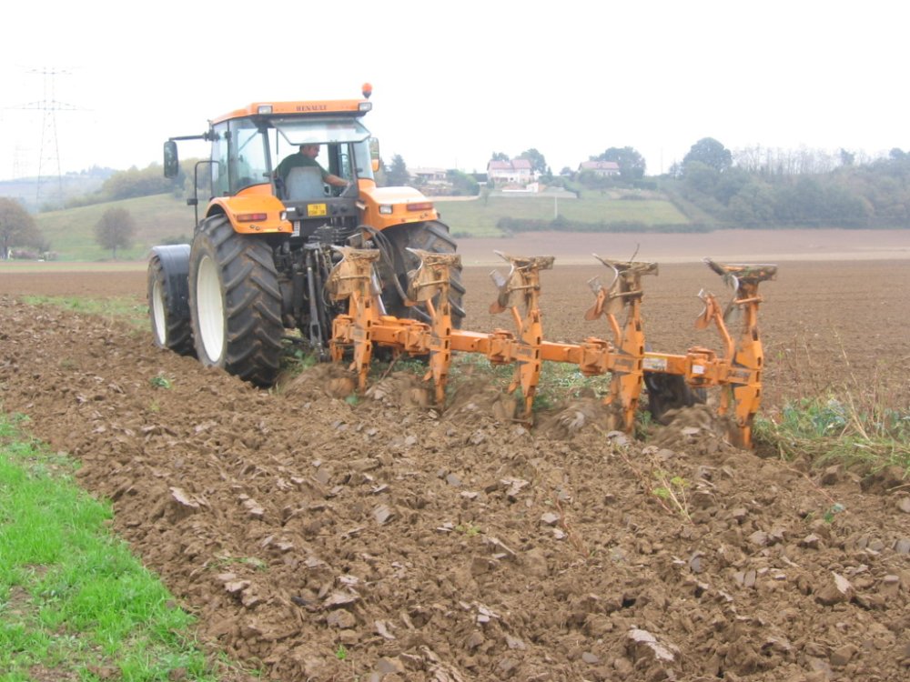 Agri Automne 2008 017.JPG