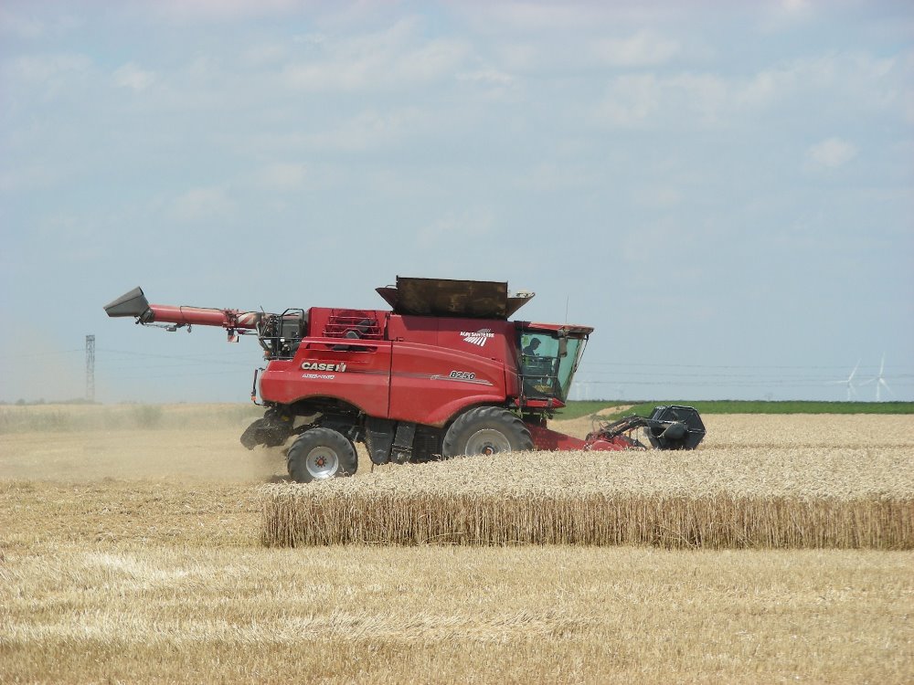 Case IH 8250 (2).JPG