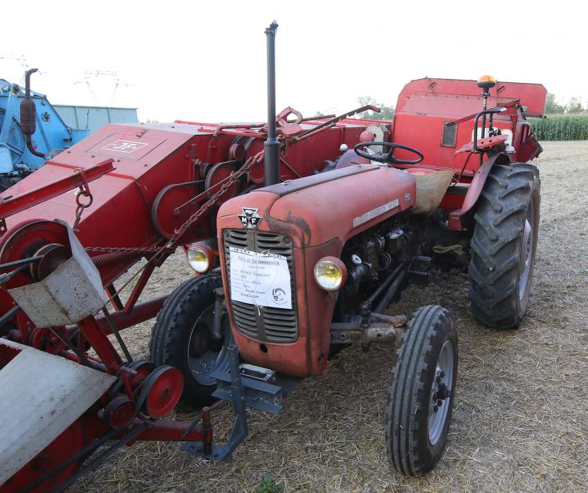 RB0A4186.JPG