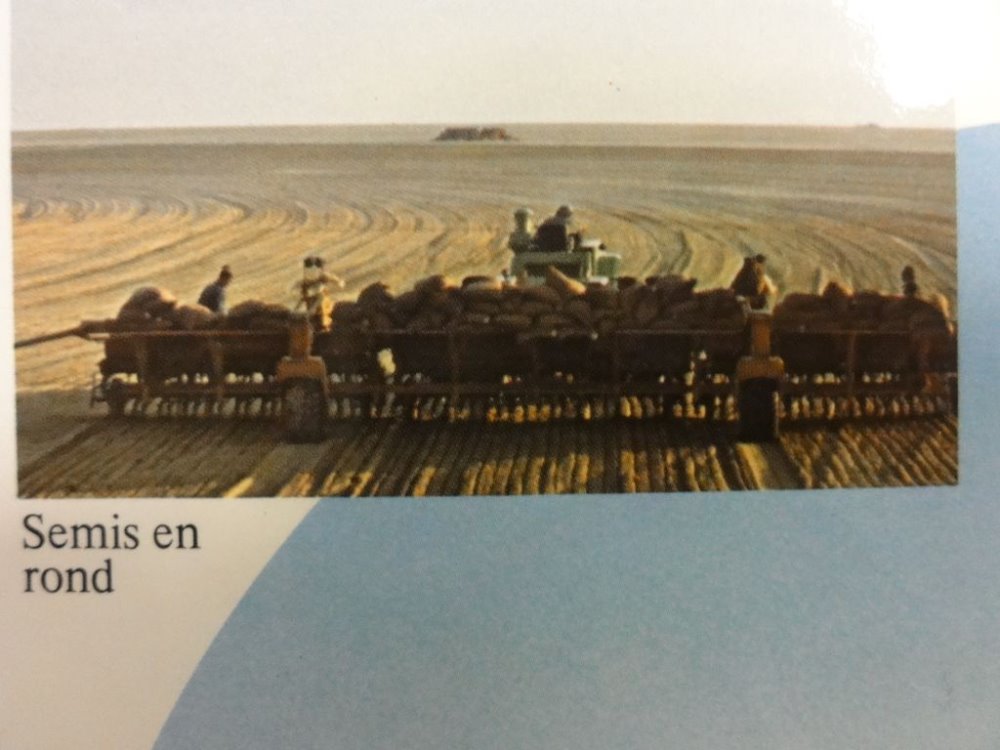 lucate vandel 008.JPG