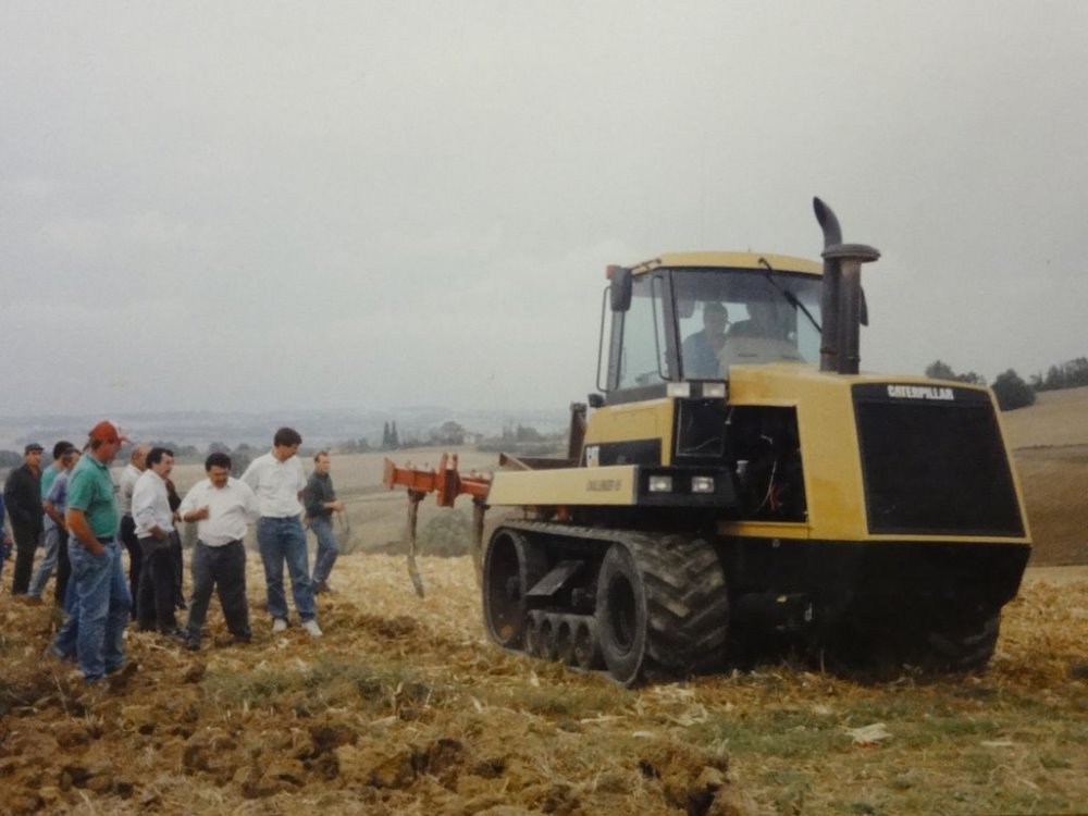 steiger vandel 026.JPG