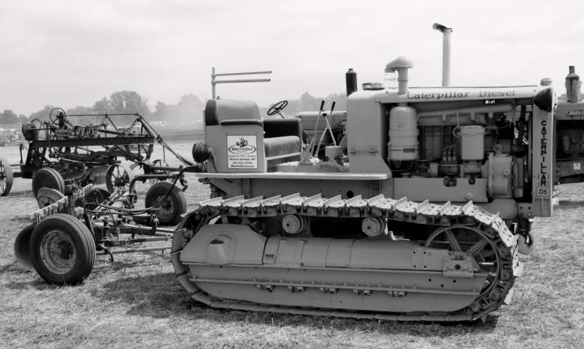RB0A7999-001.JPG