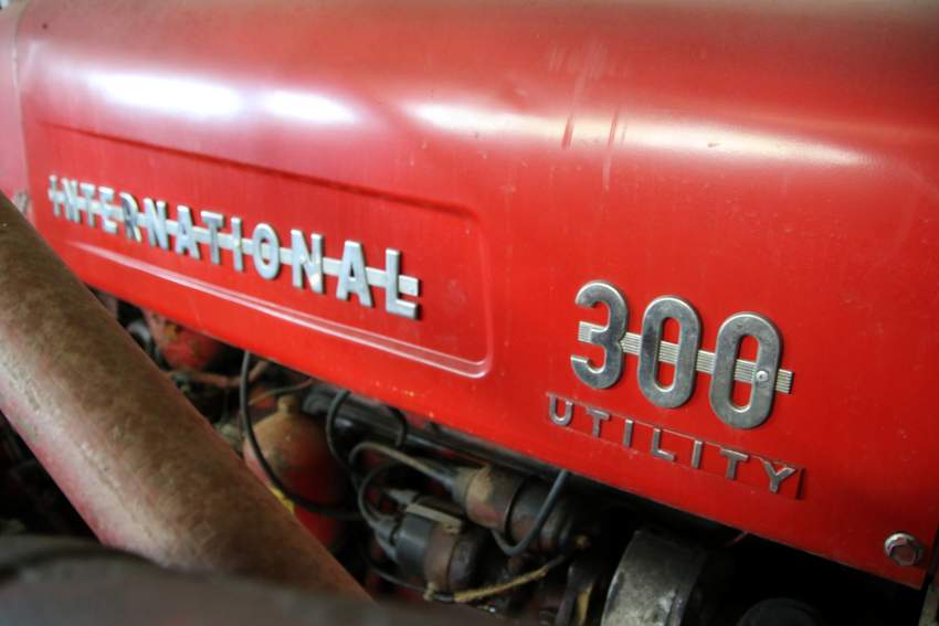 RB0A9086.JPG