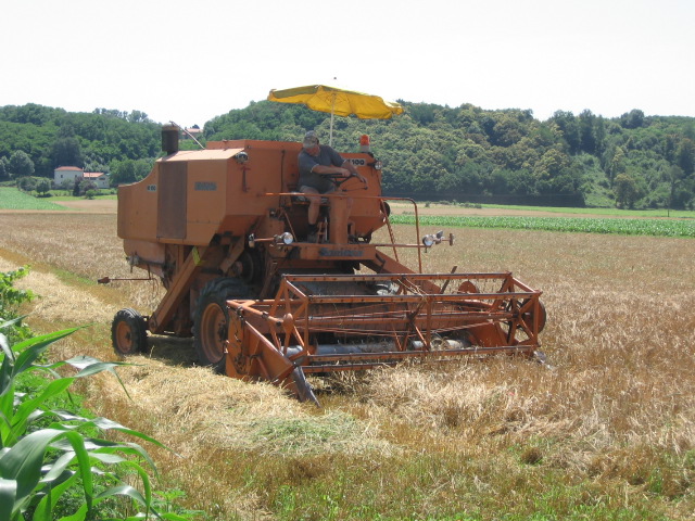 Agri 2007 002.jpg