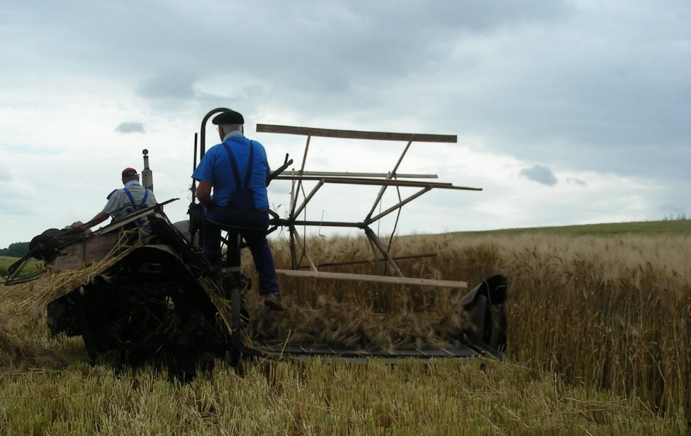 Moisson 2024.jpg