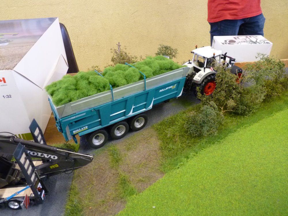 P1110575.JPG