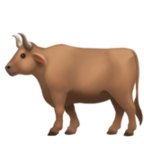 <cow>