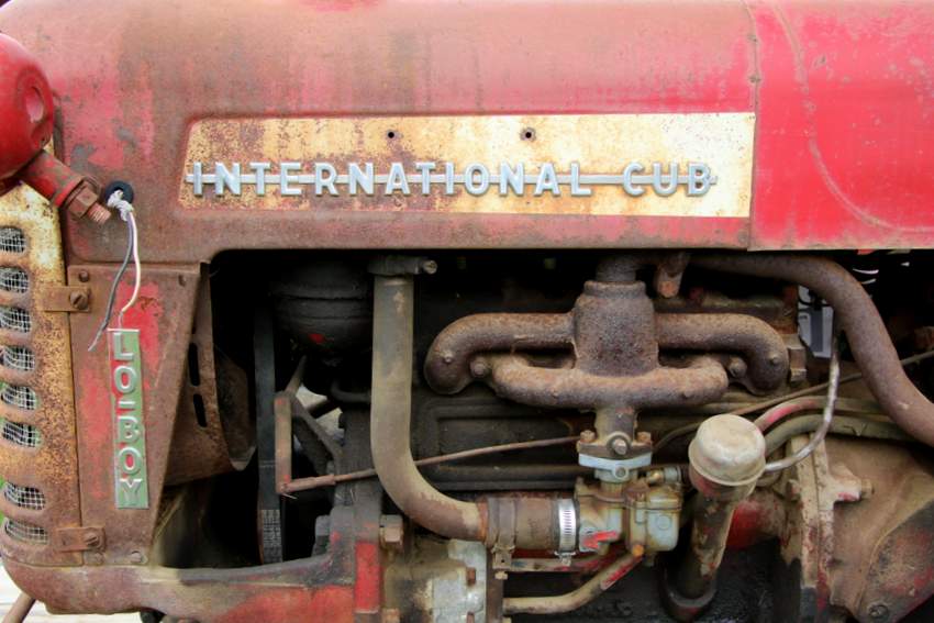 RB0A9829.JPG