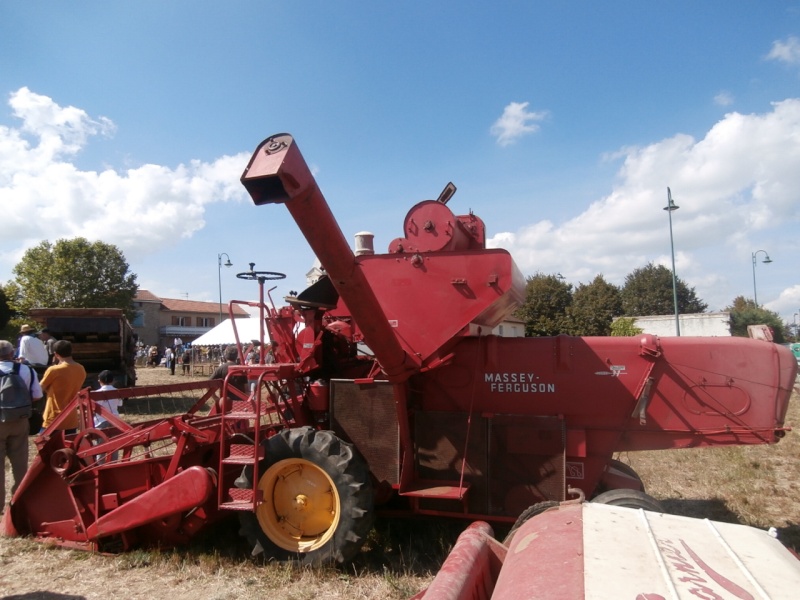 mb massey 31 3.jpg