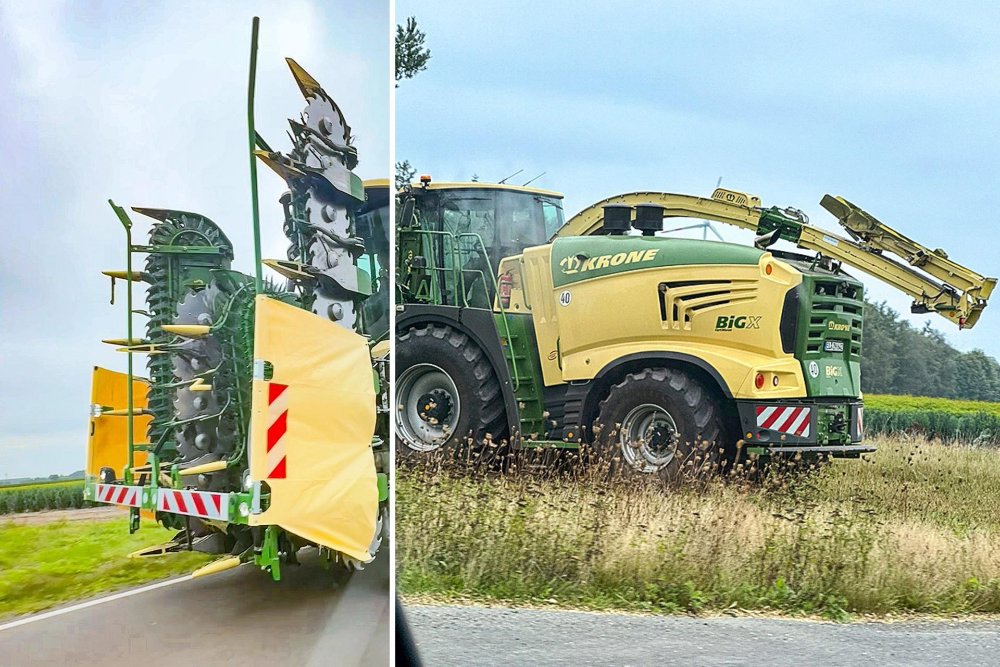 krone-zusammen_id898306.jpg