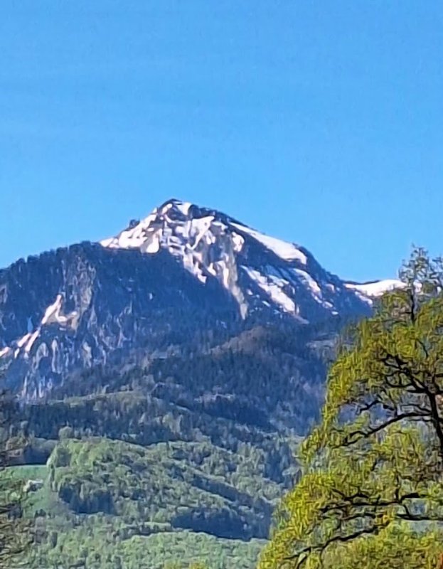 1-20260424_095357.jpg