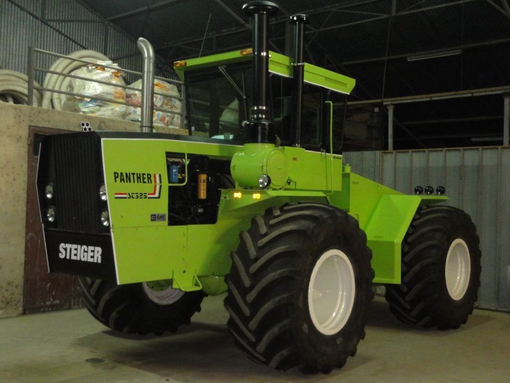 steiger finition 011.JPG