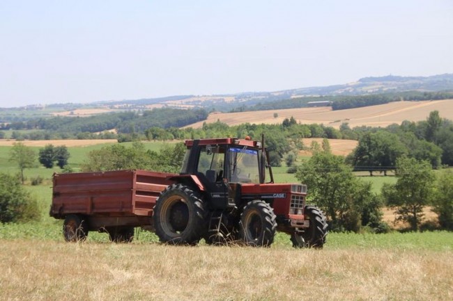 moisson et orage 002.JPG
