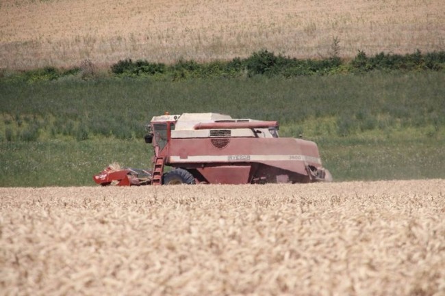 moisson et orage 004.JPG