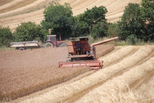 moisson et orage 009.JPG