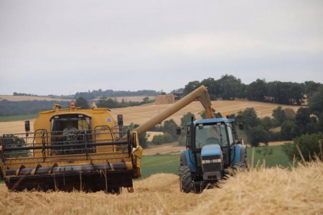 moisson paille 002.JPG