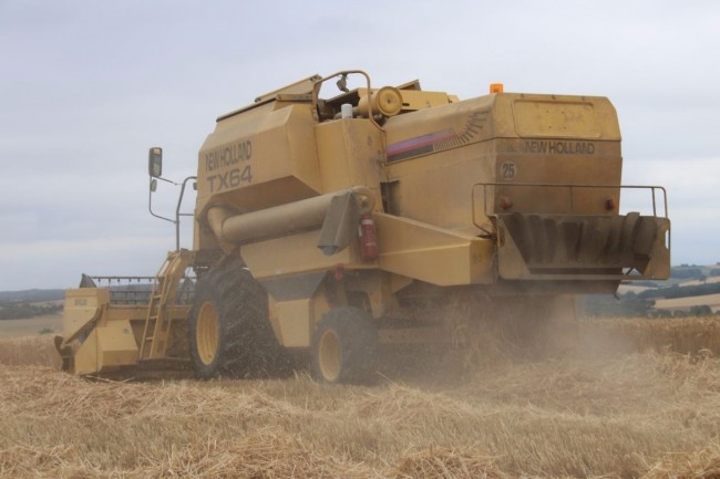moisson paille 004.JPG