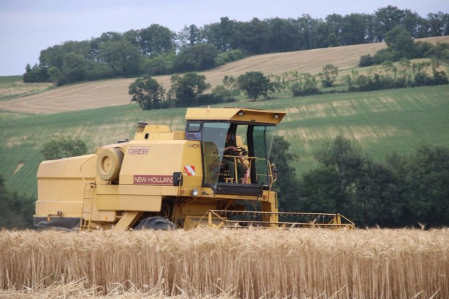 moisson paille 010.JPG