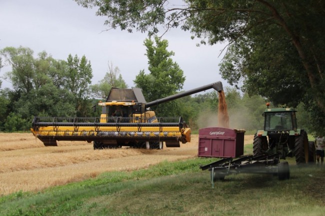 moisson paille 011.JPG