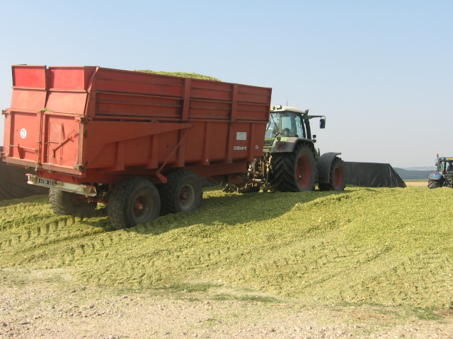 Ensilage F2005 013.jpg