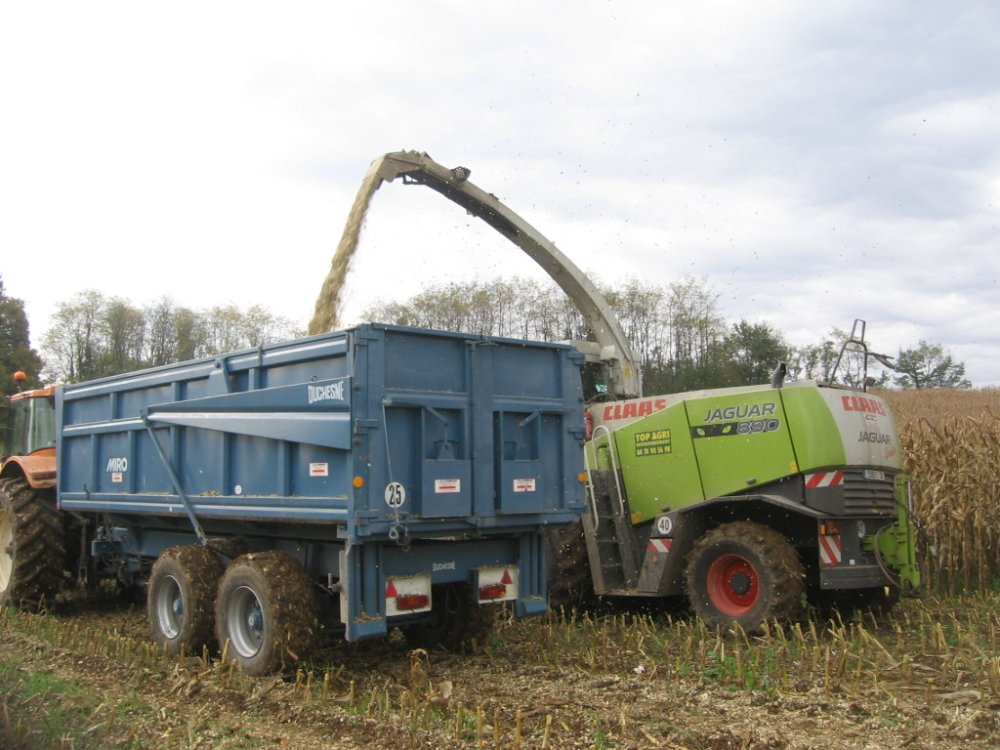 Agri Automne 2008 018.JPG