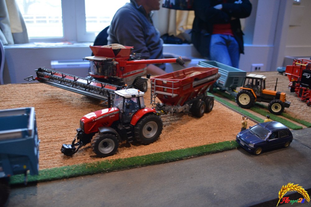 DSC_0505 (Copier).JPG