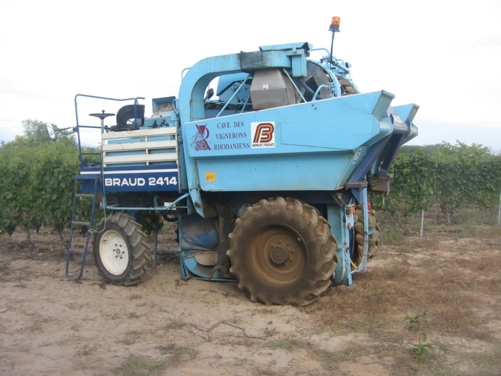 Vendanges M 2009 (36).JPG